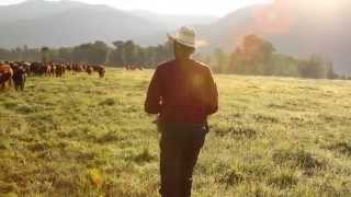 Courtney White: "Two Percent Solutions" Chelsea Green