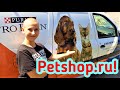 Какой УЖАС!!! ОНИ ПОМОГАЮТ ПРИЮТУ для бездомных животных БЕЗВОЗМЕЗДНО!!! Подарки от Petshop.ru !