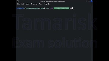 07 - Nmap Scripting Engine (NSE) Basics | WEB-200 OSWA by KinSec