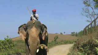सपने में हाथी की सवारी करना ।। sapne me hathi ki sawari krna ।। elephant riding