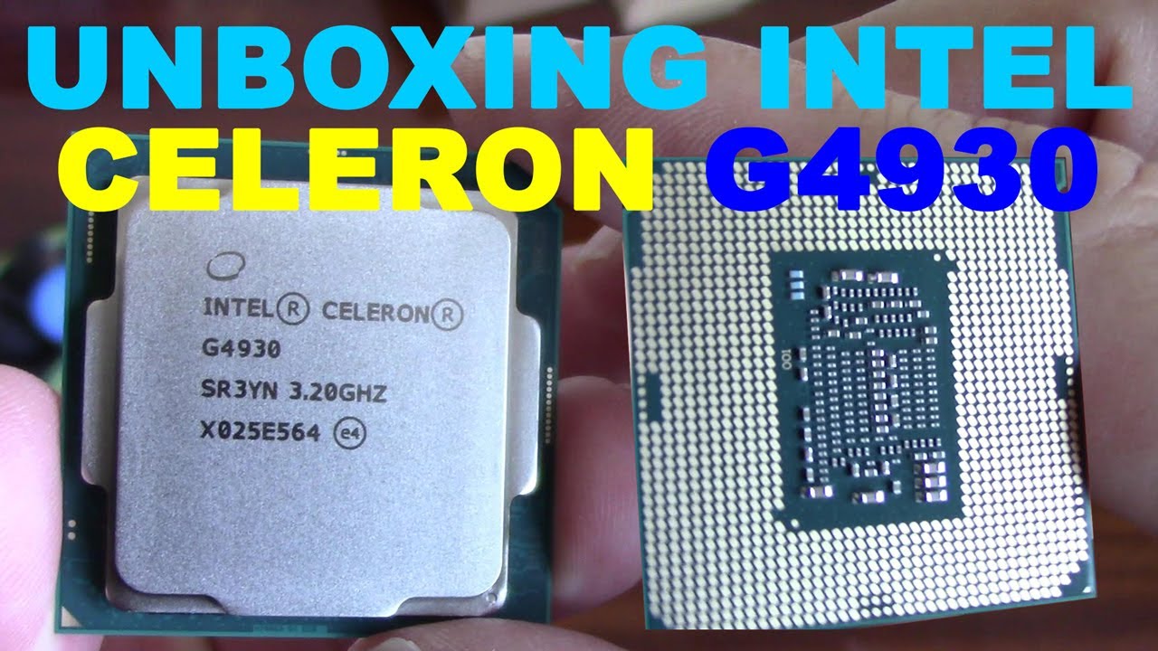 全品最安値に挑戦 Intel Celeron G4930 LGA1151 016 kead.al