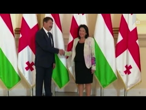 უნგრეთის პრეზიდენტის ვიზიტი