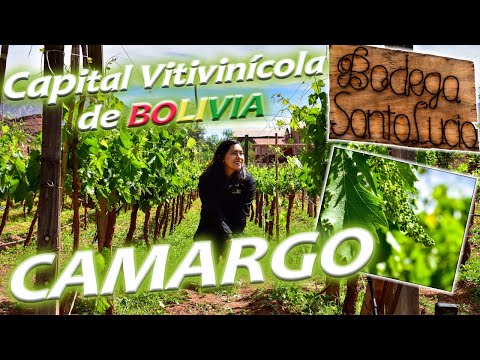 Visitamos "La Capital Vitivinícola de Bolivia, del Sol y el buen Vino" CAMARGO (episodio #20)