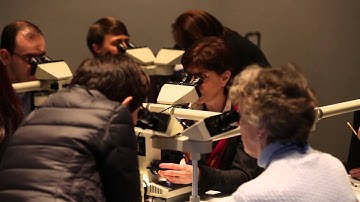 Interactive Microscopy 2015