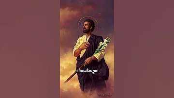 The Year Of St Jospeh Josephine Thoughts Fr Sajo Padayattil Nallidayan 