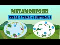 Kuis Metamorfosis