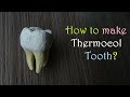 How to make a tooth 3d model