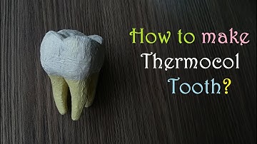 How to make a Tooth 3d Model | Holiday Homework