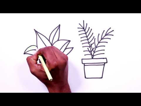 Plant Drawing - How to Draw Plants – Step-by-Step – Part 4