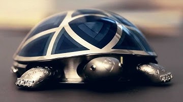 PAGÈS - The automaton Tortoise