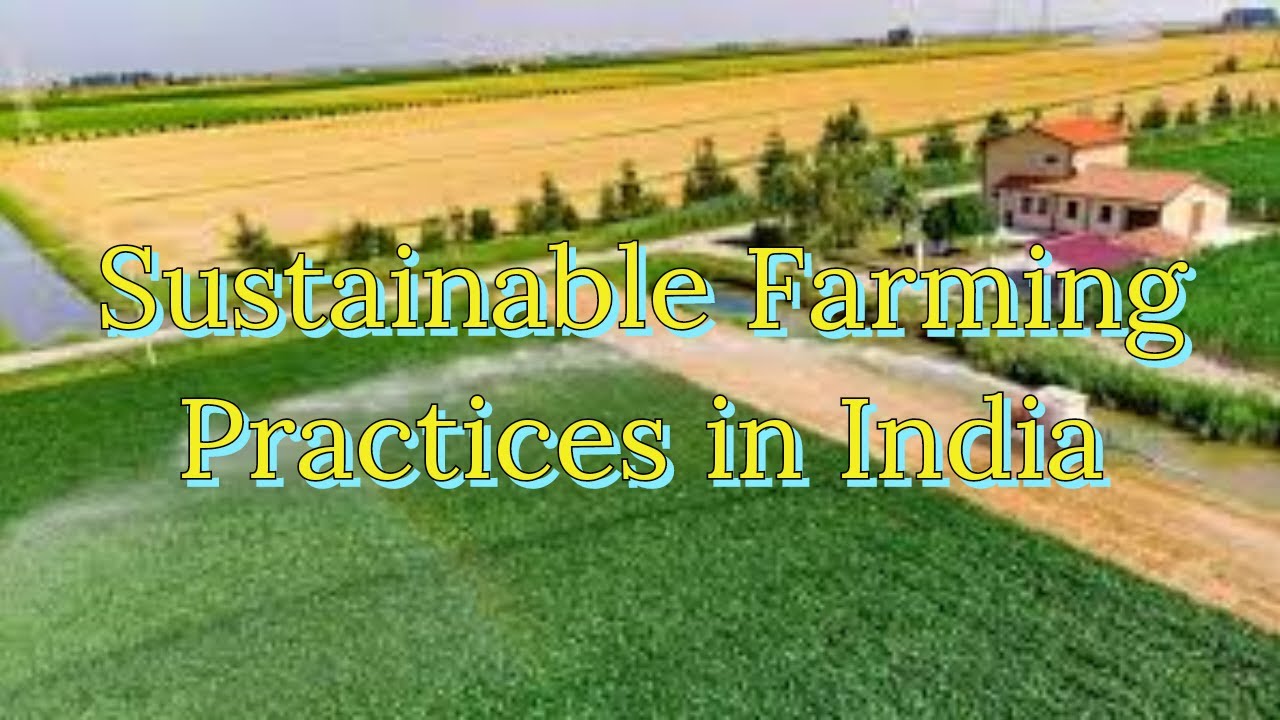 Sustainable Farming Practices in India #india #farming - YouTube