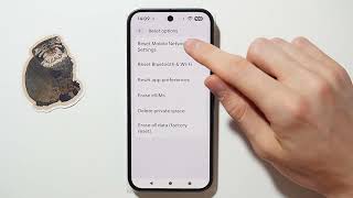 How to Reset Mobile Network Settings on Google Pixel 10?