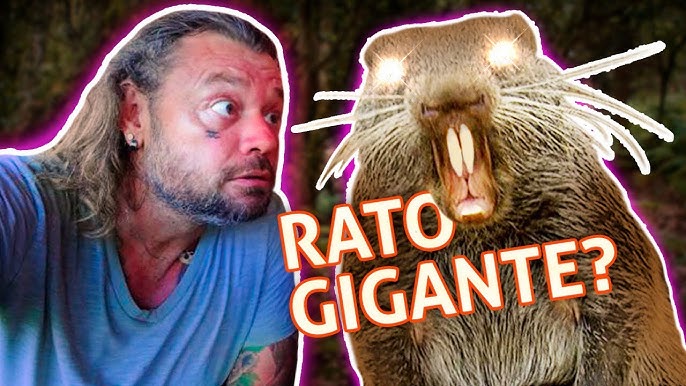 ratos gigantes em nova york｜Pesquisa do TikTok