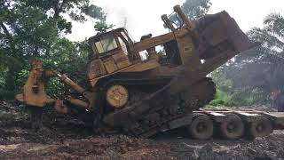 Raksasa Sudah Dijemput... CAT D9