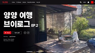 양양 사니? 리틀 포레스트 st 강아지 동반 여행 VLOG | 강원도 양양 EP.2 촌캉스편 | 유자가제철
