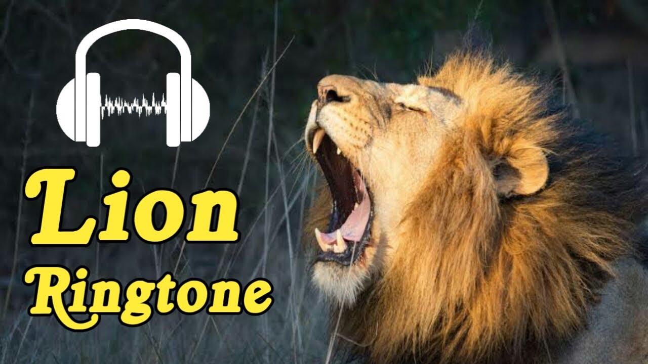Lion roar ringtone/Lion sound ringtone||New ringtone 2021||शेर की रिंगटोन/sher ki - YouTube