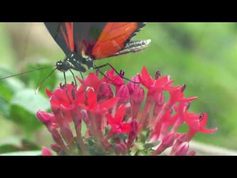 The Best Attractions In Unna Destimap Destinations On Map
