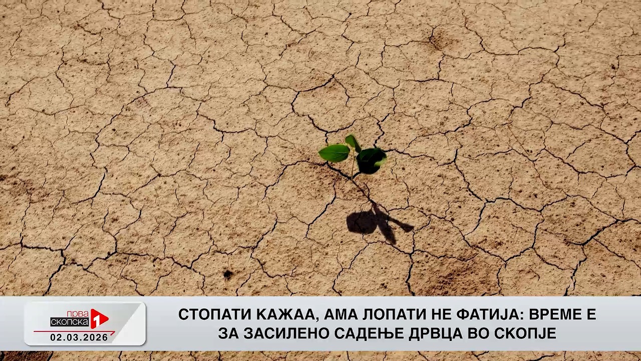 Инфоскоп - 02.03.2026