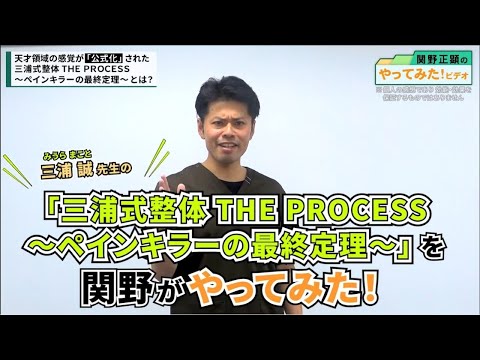 三浦式整体 ペインキラーの最終定理 本編DVD4枚+URL付+内臓定理 三浦式整体 ペインキラーの最終定理 本編DVD4枚+特典DVDURL付+