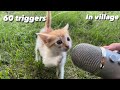 Asmr 60 triggers in 60 seconds in village 🌳