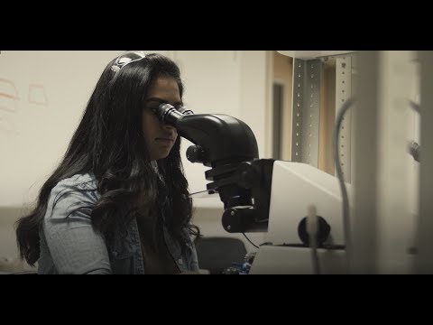 Delta College's Electron Microscopy Program
