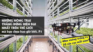 Những nông trại thẳng đứng hiện đại nhất trên thế giới mà bạn nên biết ▶ P1 | Agritech-VietNam