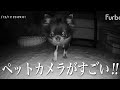 愛犬が好きすぎて24時間監視することにしました。