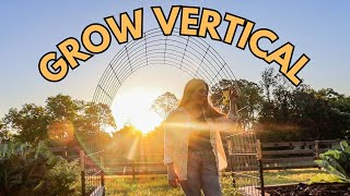 Why you should garden VERTICALLY! Vertical Gardening Benefits! #verticalgarden #springgarden by Homesteading with Shelby 674 views 2 months ago 11 minutes, 25 seconds