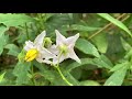 Nature Journal With Black Hill Nature Programs' Katy