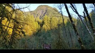 Evan's Peak, Golden Ears Provincial Park BC #hiking #peakbagging #adventures #getoutside #amytso