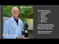 Casting a Dog for Custom Orthotic Brace