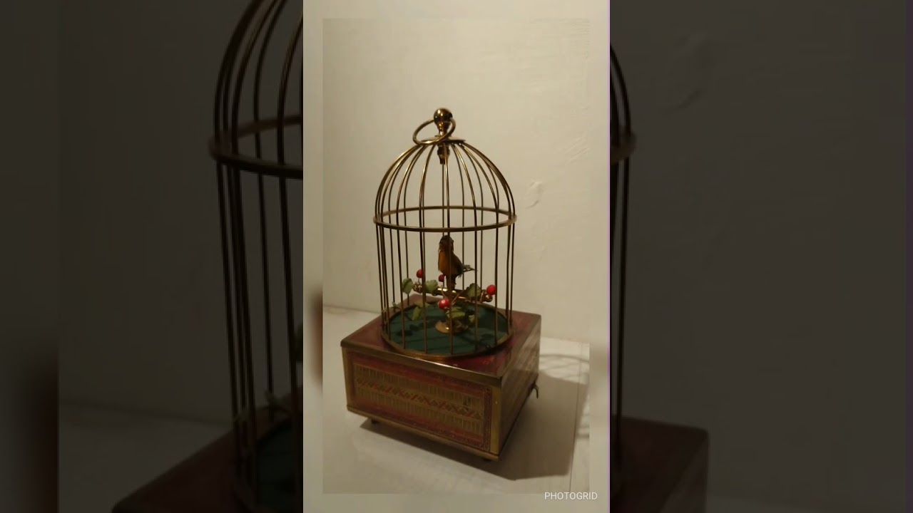 Automaton Singing Bird Cage Music Box vvv YouTube