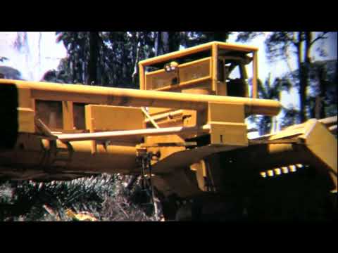 The largest tree crusher in the world. LeTourneau G175