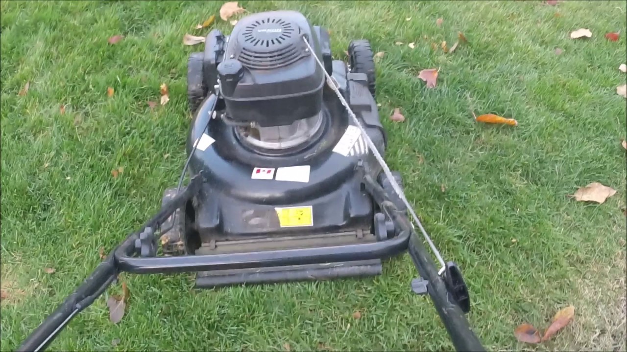 Финальное видео о стрижке газона — 5 разных газонокосилок в этом видео :)