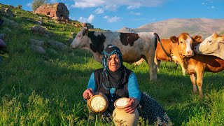 :  ,        Mountain Cheese Making