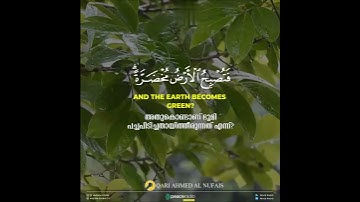 سورة الحج (أَلَمْ تَرَ أَنَّ الله أَنزَلَ مِنَ السَّمَآءِ مَآءً)