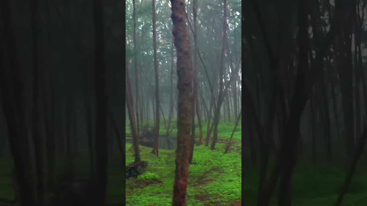 📍𝗔𝘇𝗵𝗶𝗸𝗼𝗱𝗲 𝗺𝘂𝗻𝗮𝗸𝗸𝗮𝗹 𝗯𝗲𝗮𝗰𝗵       