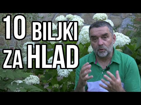 Video: Mogu li vrbe rasti u hladu?