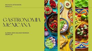 Datos Curiosos De La Gastronomía Mexicana Sofia Salgado