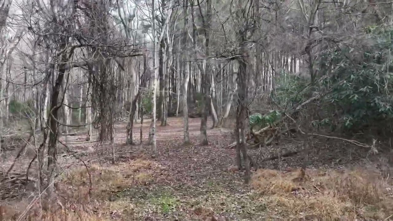 Unrestricted Mountain Property near Blue Ridge Parkway in Meadows of Dan, VA. 