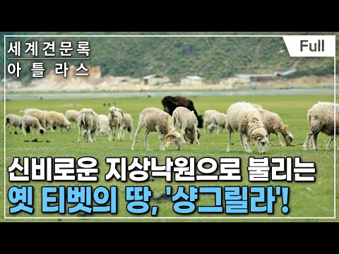 [Full] 세계견문록- 아틀라스 - 중국 차(<strong>茶</strong>) 기행 - 2부 운남, 소수민족과 차