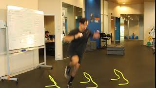 SL Lateral Hop and Stick