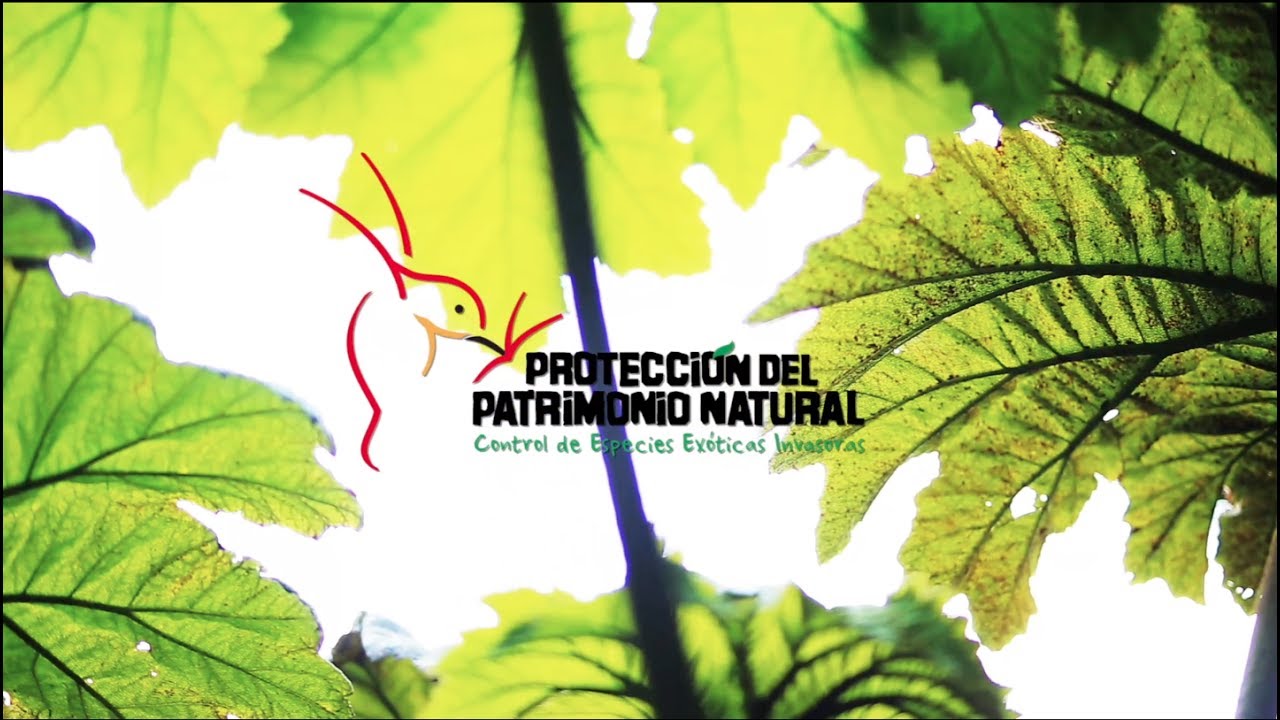 Plan de Acción para el control de Especies Exóticas Invasoras en Juan Fernández