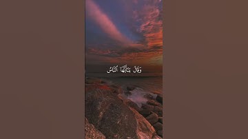 #اكسبلور #لايك #المصحف روائع التلاوات المميزة