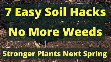 “Fix Your Soil THIS Winter in 7 Simple Steps – Grow a Garden That Practically Runs Itself