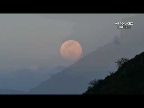 ΡΟΖ ΠΑΝΣΕΛΗΝΟΣ ΤΗΣ ΑΝΟΙΞΗΣ ΣΤΟ ΝΑΥΠΛΙΟ 7/4/2020