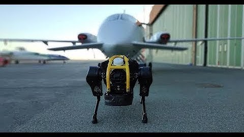 Watch a Super Powerful Robot Dog Pull a Three Ton Airplane