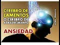 ANSIEDAD: CEREBRO DE LAMENTOS O CEREBRO DE AGRADECIMIENTO