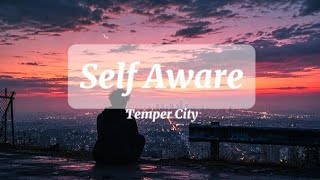 Download lagu Self Aware - Temper City(Slowed lyrics)