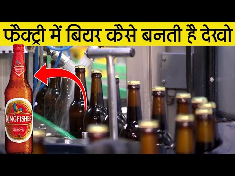 Factory में बियर कैसे बनती है | Kingfisher Beer | Beer Production in Factory